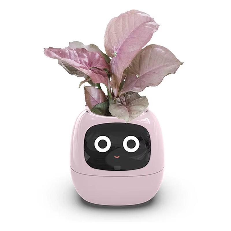 Smart Mimi AI Flower Pot