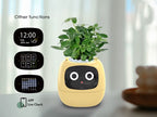 Smart Mimi AI Flower Pot