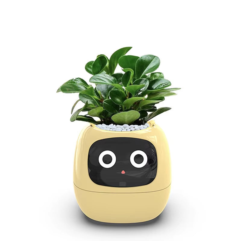 Smart Mimi AI Flower Pot